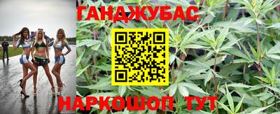 гидропоника Можга