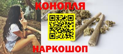гидропоника Можга