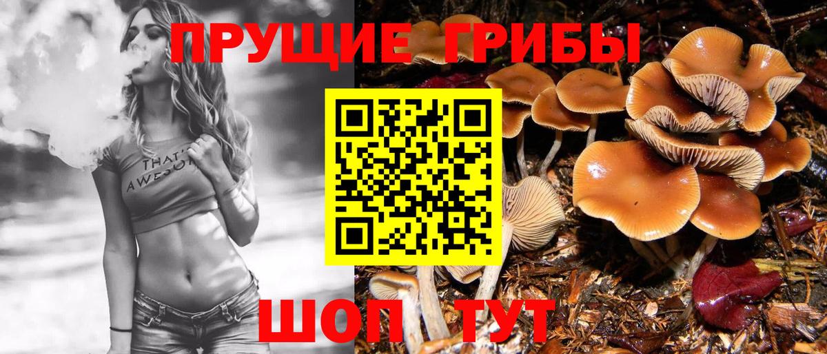 Галлюциногенные грибы MAGIC MUSHROOMS Вичуга